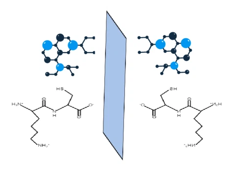 D-amino acid Peptide